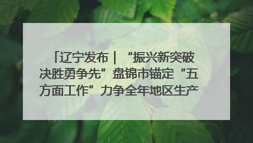 辽宁发布｜“振兴新突破 决胜勇争先”盘锦市锚定“五方面工作”力争全年地区生产总值增长5.5%左右