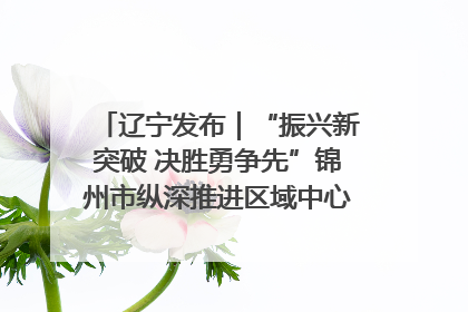 辽宁发布｜“振兴新突破 决胜勇争先”锦州市纵深推进区域中心城市建设 打造高质量发展新增长极
