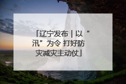 辽宁发布｜以“汛”为令 打好防灾减灾主动仗