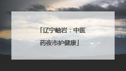 辽宁岫岩：中医药夜市护健康