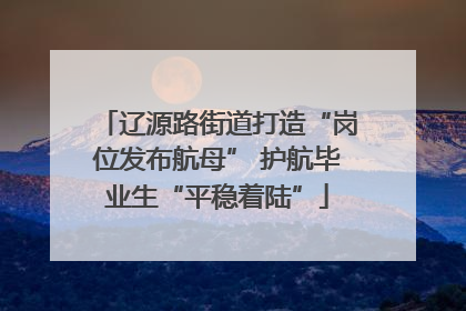 辽源路街道打造“岗位发布航母” 护航毕业生“平稳着陆”