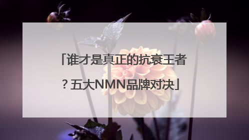 谁才是真正的抗衰王者？五大NMN品牌对决