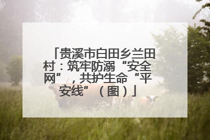 贵溪市白田乡兰田村：筑牢防溺“安全网”，共护生命“平安线”（图）