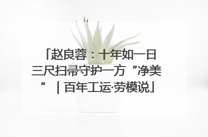 赵良蓉：十年如一日 三尺扫帚守护一方“净美”｜百年工运·劳模说