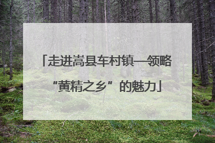 走进嵩县车村镇—领略“黄精之乡”的魅力