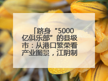跻身“5000亿俱乐部”的县级市：从港口繁荣看产业图景，江阴制造链通全球
