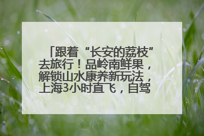 跟着“长安的荔枝”去旅行！品岭南鲜果，解锁山水康养新玩法，上海3小时直飞，自驾高速费优惠