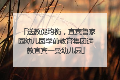送教促均衡，宜宾鲁家园幼儿园学前教育集团送教宜宾一曼幼儿园