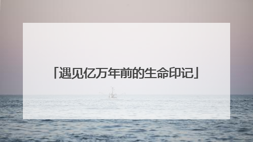 遇见亿万年前的生命印记