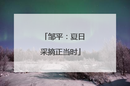 邹平：夏日采摘正当时