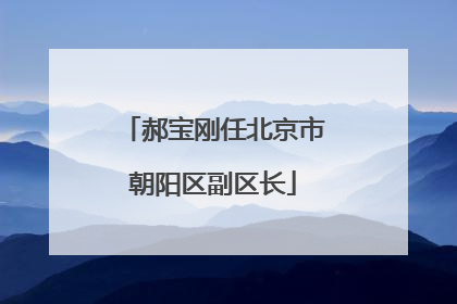 郝宝刚任北京市朝阳区副区长