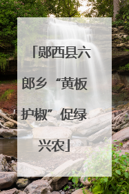 郧西县六郎乡“黄板护椒”促绿兴农