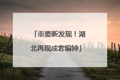 重要新发现！湖北再现成套编钟