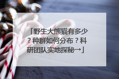 野生大熊猫有多少？种群如何分布？科研团队实地探秘→
