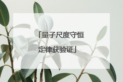 量子尺度守恒定律获验证