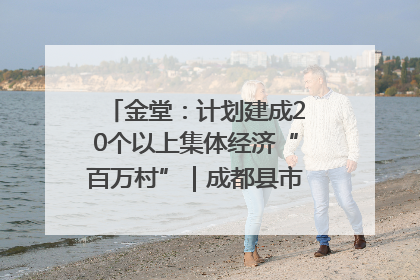 金堂：计划建成20个以上集体经济“百万村”｜成都县市新城高质量发展