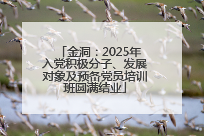 金洞：2025年入党积极分子、发展对象及预备党员培训班圆满结业