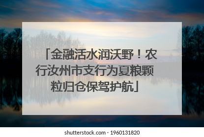 金融活水润沃野！农行汝州市支行为夏粮颗粒归仓保驾护航