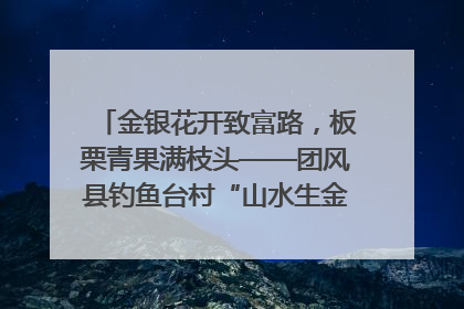 金银花开致富路，板栗青果满枝头——团风县钓鱼台村“山水生金”谱写共富新篇章