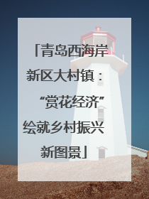 青岛西海岸新区大村镇：“赏花经济”绘就乡村振兴新图景