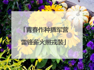 青春作种播军营 雷锋薪火照戎装