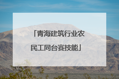 青海建筑行业农民工同台赛技能