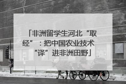 非洲留学生河北“取经”：把中国农业技术“译”进非洲田野