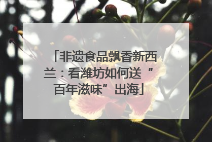 非遗食品飘香新西兰：看潍坊如何送“百年滋味”出海