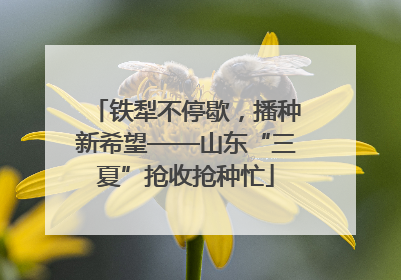 铁犁不停歇，播种新希望——山东“三夏”抢收抢种忙