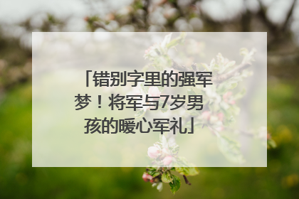 错别字里的强军梦！将军与7岁男孩的暖心军礼