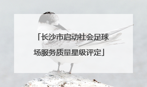 长沙市启动社会足球场服务质量星级评定