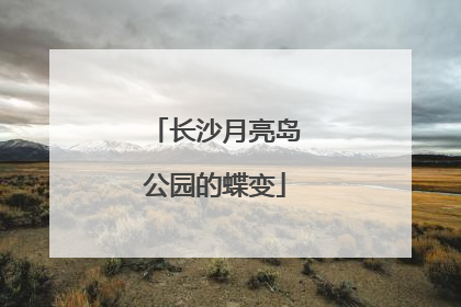 长沙月亮岛公园的蝶变