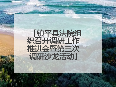 镇平县法院组织召开调研工作推进会暨第三次调研沙龙活动