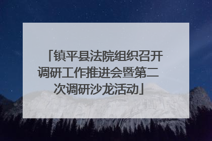 镇平县法院组织召开调研工作推进会暨第二次调研沙龙活动