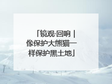 镜观·回响｜像保护大熊猫一样保护黑土地