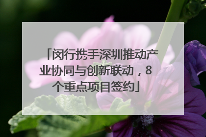 闵行携手深圳推动产业协同与创新联动，8个重点项目签约