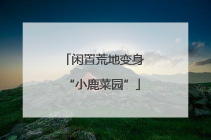 闲置荒地变身“小鹿菜园”