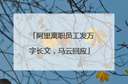 阿里离职员工发万字长文，马云回应
