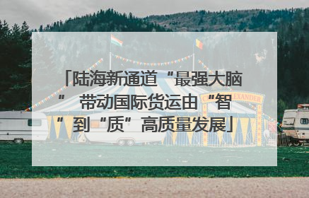陆海新通道“最强大脑” 带动国际货运由“智”到“质”高质量发展