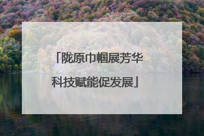 陇原巾帼展芳华 科技赋能促发展