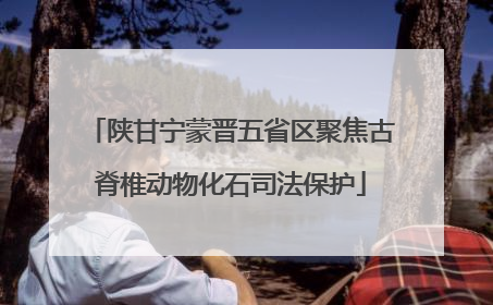 陕甘宁蒙晋五省区聚焦古脊椎动物化石司法保护
