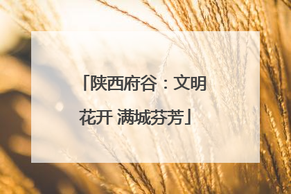 陕西府谷：文明花开 满城芬芳