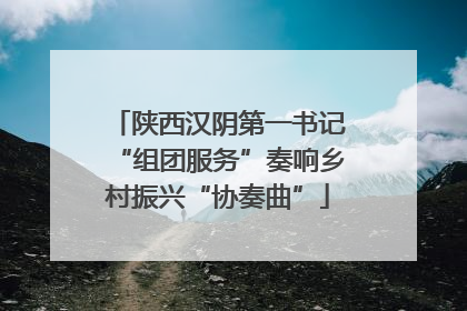 陕西汉阴第一书记“组团服务”奏响乡村振兴“协奏曲”