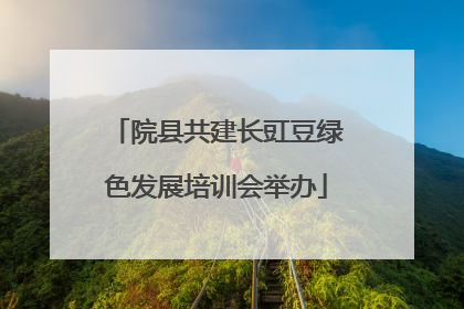 院县共建长豇豆绿色发展培训会举办