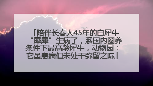 陪伴长春人45年的白犀牛“犀犀”生病了，系国内圈养条件下最高龄犀牛，动物园：它虽患病但未处于弥留之际