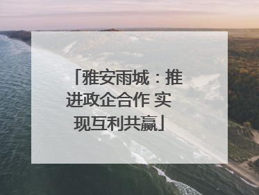 雅安雨城：推进政企合作 实现互利共赢