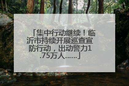 集中行动继续！临沂市持续开展巡查宣防行动，出动警力1.75万人……
