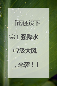 雨还没下完！强降水+7级大风，来袭！