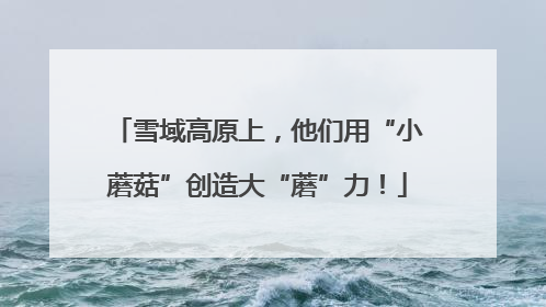 雪域高原上，他们用“小蘑菇”创造大“蘑”力！