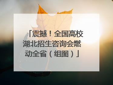 震撼！全国高校湖北招生咨询会燃动全省（组图）